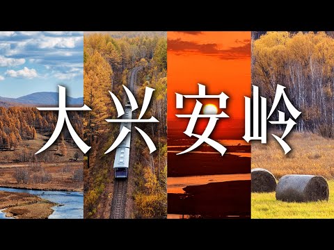 属于我的大兴安岭之旅