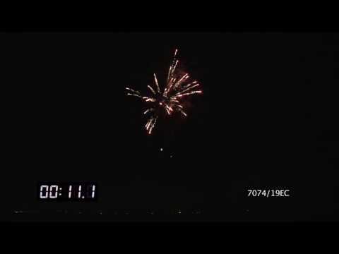 7074/19EC Cake Ø30mm 19s I-shape 30sec H35m ''Palm tree with rain"