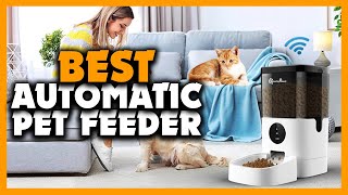 Top 5 Best Automatic Pet Feeder Review (2024)