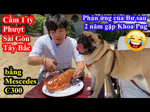 Cần bán Đất Tân Châu, Tây Ninh, DT 100 - 700m2, khu dân cư, Sổ đỏ riêng XD tự do