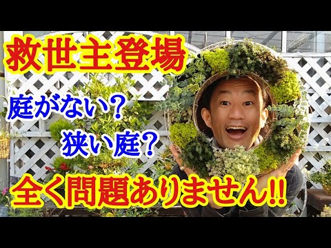 園芸 シャギータイム