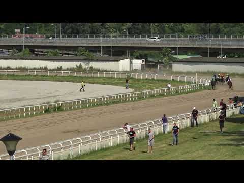 12.6.2022 - Trka III - BEČEJ - Hipodrom Beograd
