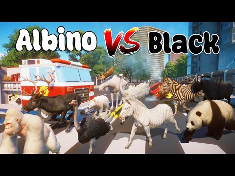 10 Albino VS Black Animals Race in a New City Planet Zoo included Ostrich, Zebra, Bear, Panda