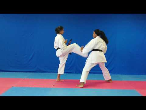 Hiki Taoshi of Ashihara Karate