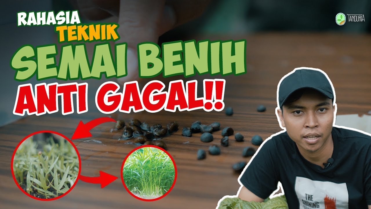 SEMAI ANTI GAGAL?! Ini Rahasianya | Series Menanam #4