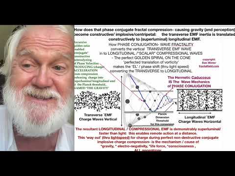 Fractal Implosive Charge Collapse and Negentropy: The Future of Electrical Engineering - Dan Winter