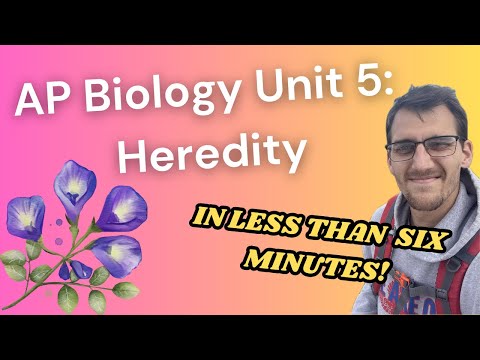 (2019 curriculum) AP Biology Unit 5 SPEED REVIEW! (Shorts Compilation)