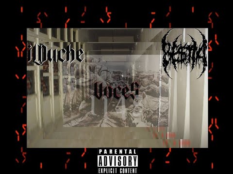 ilDuche x Joven Bestia - Voces