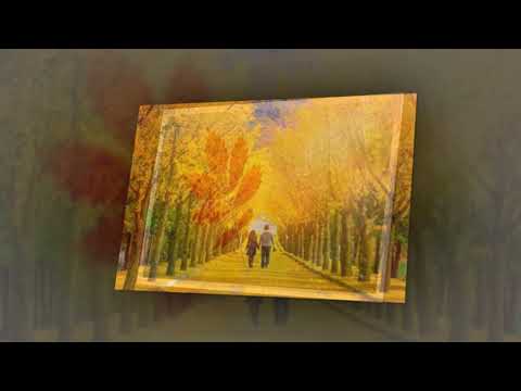 Thu hoài cảm - Nam Vĩnh