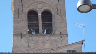 San Severino Marche (MC) - Chiesa di San Domenico - Richiamo Festivo Manuale