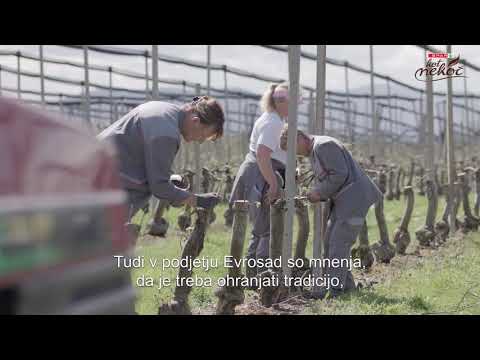 SPAR KOT NEKOČ - Evrosad