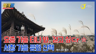 아시아문화중심도시 광주를 걸어보다 Walkman - 서...