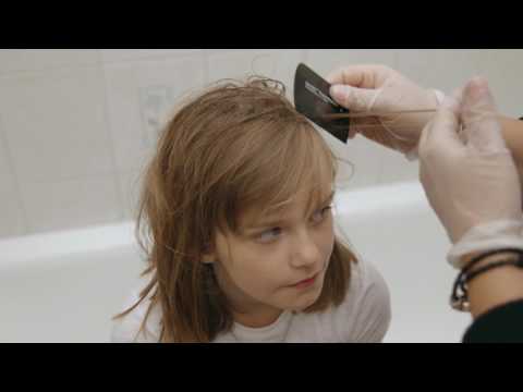 Kopfläuse  - Erkennen & richtig behandeln