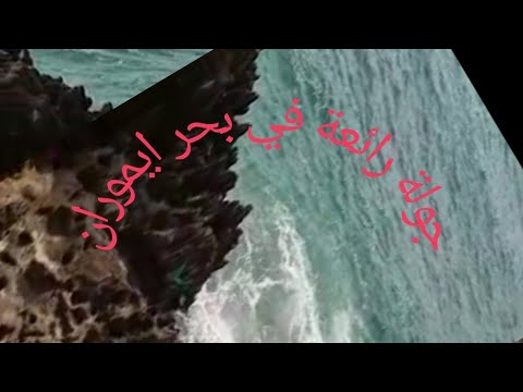 بحر ايموران 👍 غزال مشاء الله 🌹Randa M3a hakima