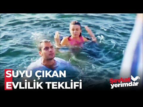 Şevkat'in Evlilik Teklifi Laneti - Şevkat Yerimdar