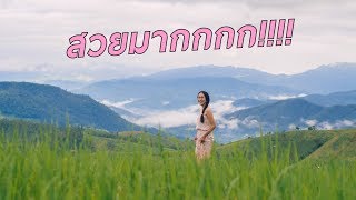 preview picture of video 'เที่ยวเชียงใหม่ ป่าปงเปียง ที่พักราคาถูกมาก คุ้ม ฟิน - Mai diary'