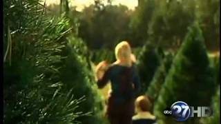 preview picture of video 'Christmas tree sales'