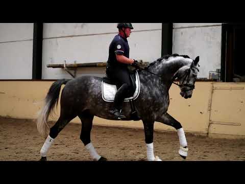 Fred v. Fairbanks - for sale