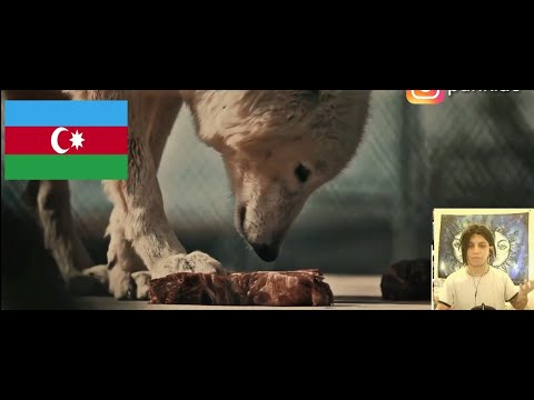 BU ADAM ÜST DÜZEY - Okaber — Qara Mamba - AZERBAIJAN RAP REACTION