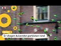 In Nederland vliegen superveel exotische vogels
