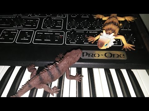 Sequential Circuits Pro One