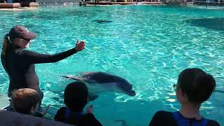 2 SeaWorld Dec 30