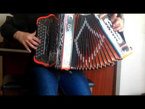 Vera Oliveira (concertina) - VIRA MALUCO MALUCO