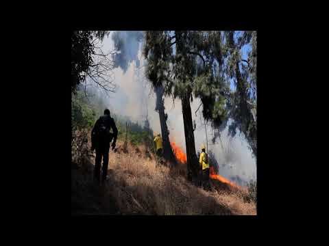 Incendio Forestal Obliga a Evacuar Población en Chile // Noticias.lat