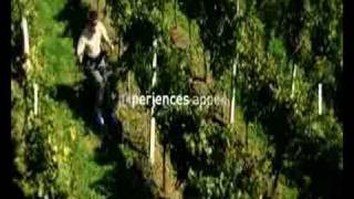 I feel sLOVEnia - Ljutomer