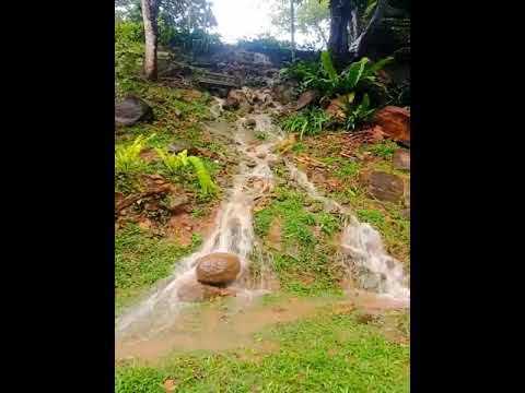 sripalee campus,university ofcolombo,caption : subodhi hansani,video: lakshika karunathilaka
