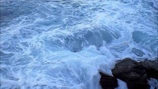 hungry for your love. van morrison