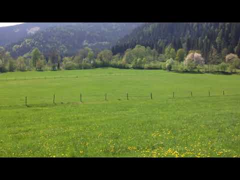 Kärnten - Afritz am See