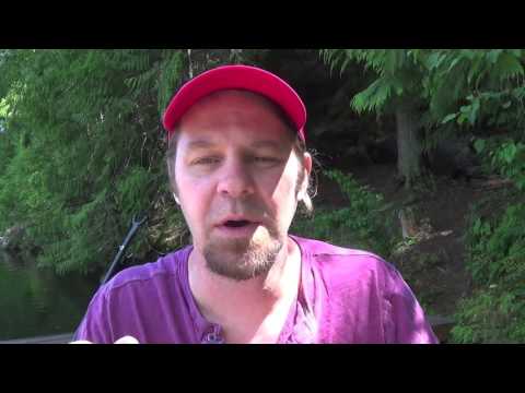 CFT Made Simple   Compassion Definition