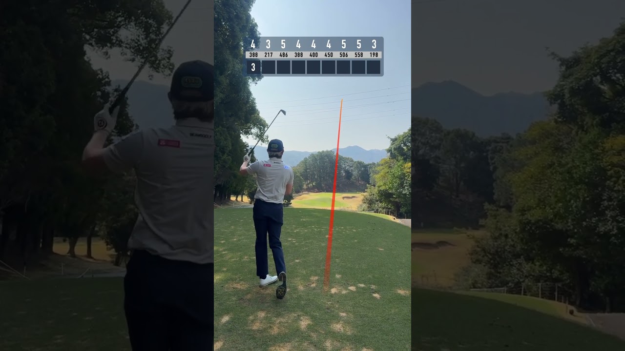 バーディボギーバーディ