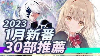 [問卦] 1月新番這樣多部，大家想看哪部?