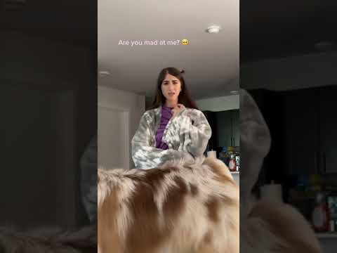 Telling my girlfriend I'm sleeping on the couch *WAIT FOR THE END* | Amani & Israel #Shorts