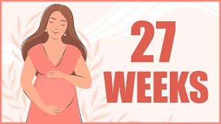 27 Weeks Pregnant – Baby Size and Position | Movement and Symptoms
