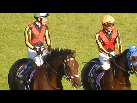 菊花賞2018/ルメール騎手もまだ勝ったかどうか半信半疑だったレース後の様子（2018.10.21)