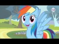 My Little Pony Fan Questions - Rainbow Dash ...