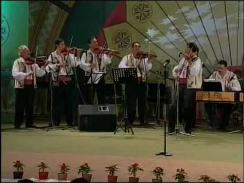 Albesteanu 2008 - Orchestra "Doina Baraganului" - Suita orchestrala 2