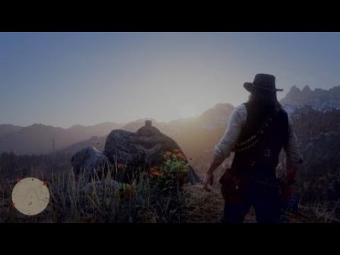 Red Dead Redemption 2: Addio amico mio. - Filmato finale segreto, Completamento 100%