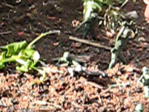 saving plastic ryan!!!