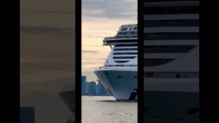 MSC Seascape 🛳️ #like #share #comment #subscribe #cruiseship #cruise #vacation #shorts #short #wow