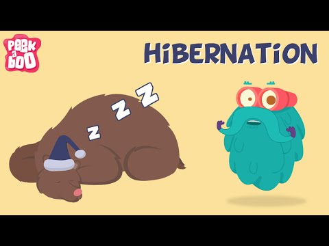 Hibernation | The Dr. Binocs Show | Learn Videos For Kids