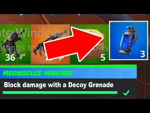 Block damage with a Decoy Grenade Fortnite