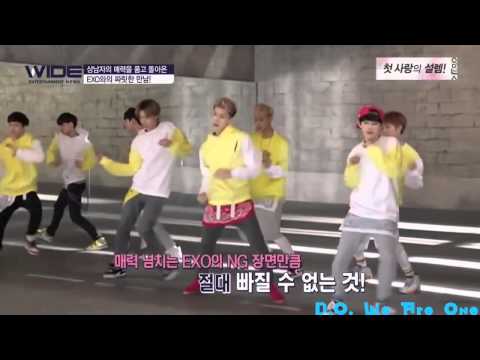 140224 EXO Sunny 10 CF D O  Cut