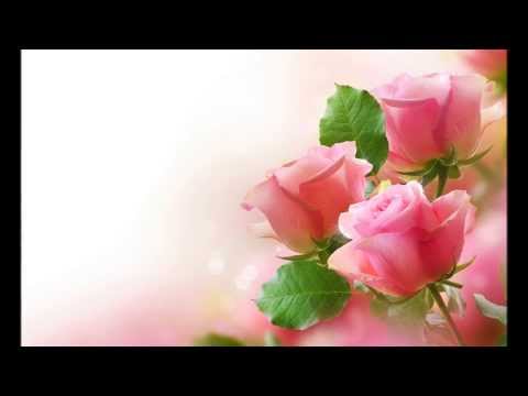 John Williamson - Cootamundra Wattle