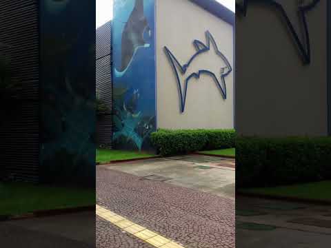 Fotos de Jone Uchôa Carneiro. Embarque nessa aventura por Santos, São Paulo. inscreva se neste canal