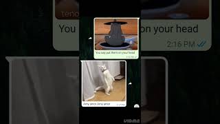 Download lagu Poco LocOOO #pocoloco #coco #fun #memes #shorts mp3