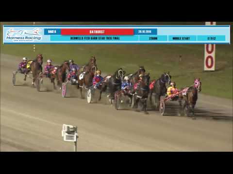 BATHURST - 28/10/2016 - Race 5 - BEDWELLS FEED BARN STARK TREK FINAL